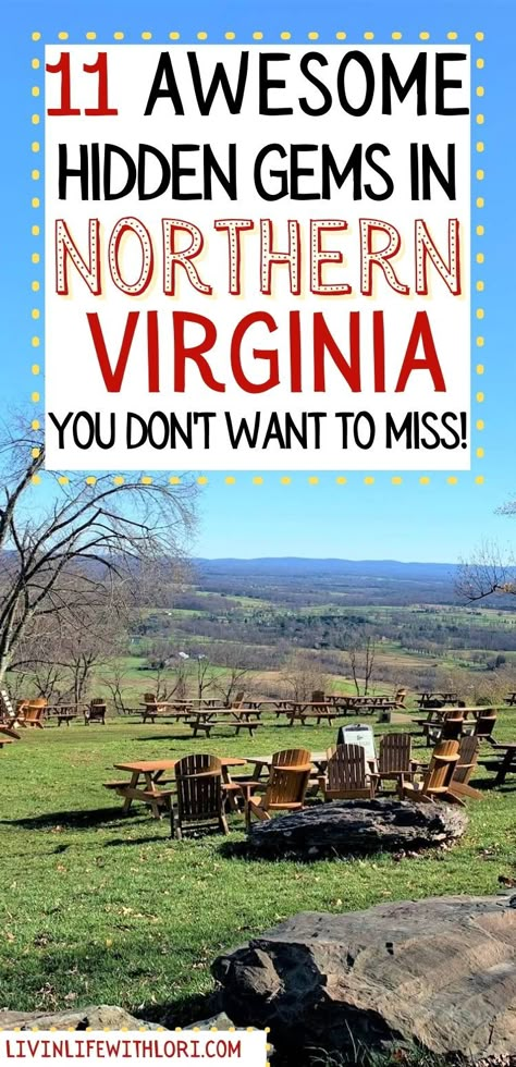 Virginia Vacation, Virginia Wineries, Road Trip Places, East Coast Road Trip, Virginia Travel, Couple Activities, Shenandoah National Park, Northern Virginia, Weekend Trips