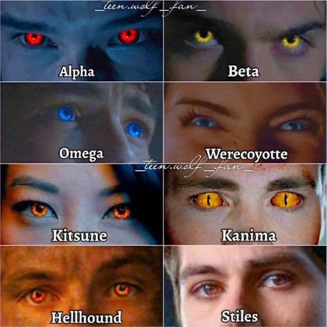 Teen Wolf Eyes, Werewolf Eyes, Teen Wolf Werewolf, Animal Mashups, Fantasy Eyes, Rare Eye Colors, Eye Color Chart, Rare Eyes, Werewolf Aesthetic