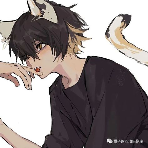 Oc With Animal Ears, Catboy Drawing, Wolf Oc Character Design, Catboy Oc, Catboy Pfp, Catboy Anime, Emo Cat Boy, Cat Ears And Tail, Anime Cat Boy