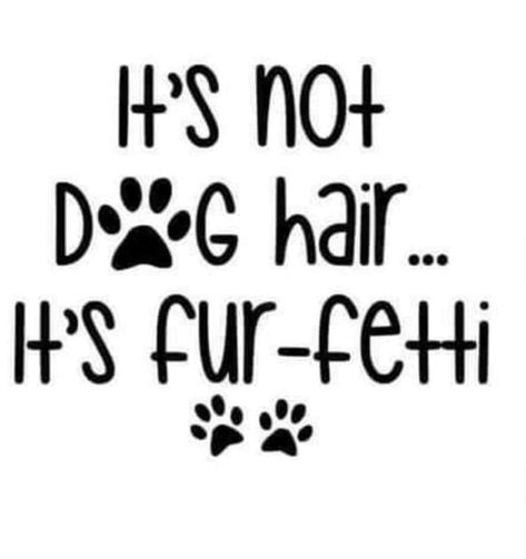 Dog Mom Cricut Projects, Dog Sayings Quotes Funny, Dog Sayings Quotes, Cricut Dog Projects, Cute Dog Sayings, Funny Dog Sayings, Pet Sayings, Animal Sayings, Shirt Svgs