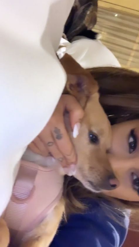 Ariana Grande Rares, Ariana Instagram, Ariana Grande Music Videos, Ariana Video, Ariana Grande Gif, Tiny Elephant, Ariana Grande Photoshoot, Ariana Grande Photos, Ariana Grande Pictures