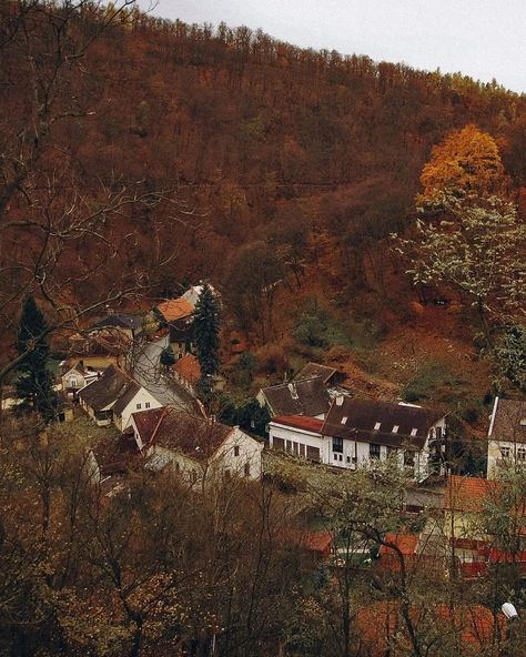 Fall Atheistic, Early Fall Aesthetic, Im So Done, Fall Aesthetic Pictures, So Done, Autumn Magic, Dark Autumn, Cozy Season, Fall Inspo