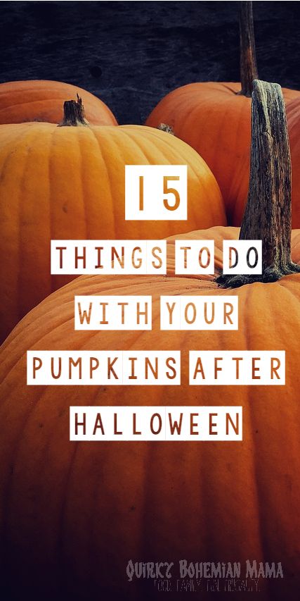 15 Ways to Recycle Your Pumpkins After Halloween, 15 Things To Do with Your Leftover Pumpkins, How to Recycle a pumpkin. Fall Pumkin Decoration, What To Make With A Pumpkin, What To Do With A Pumpkin, What To Make With Pumpkin, What To Do With Pumpkins, Fall Pumpkin Crafts, Pumpkin Uses, Leftover Pumpkin, Large Pumpkins