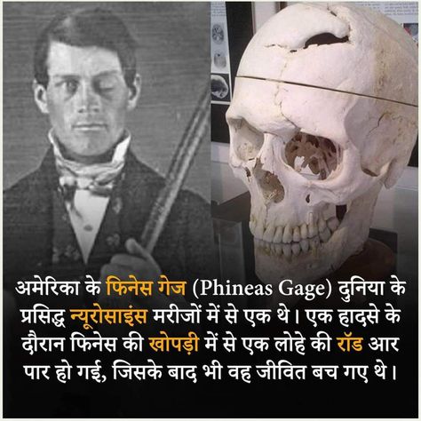 Horror Facts, Computer Keyboard Shortcuts, Scientific Knowledge, Mantra For Good Health, Interesting Facts In Hindi, Ancient History Facts, Brain Facts, True Interesting Facts, Cool Science Facts