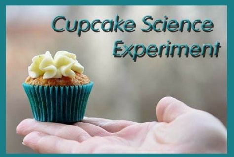 Full instructions for Cupcake Baking Science Project which demonstrates the importance of different ingredients. 1st Grade Science Fair, Science Fair Projects For Elementary, Slime Science Fair Project, Skittles Science, Science Symbols, Science Fair Project, Preschool Science Activities, Cupcake Baking, Science Crafts