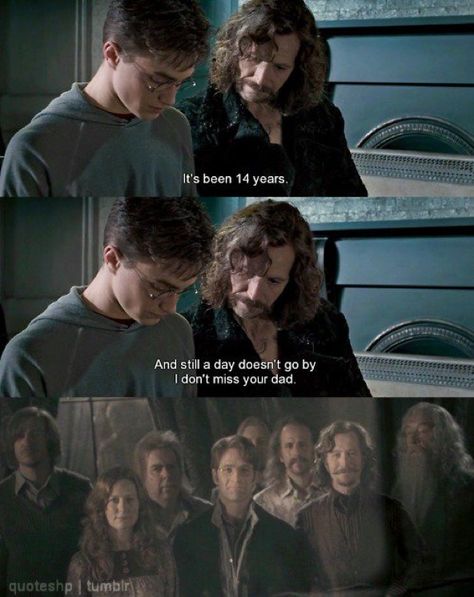 Sirius Black And James Potter, Sirius Black Quotes, Harry Potter Prisoner Of Azkaban, Harry Potter Order, Harry Potter Sirius, Phoenix Harry Potter, Harry Potter Quote, Harry Potter Illustrations, Harry Potter Puns