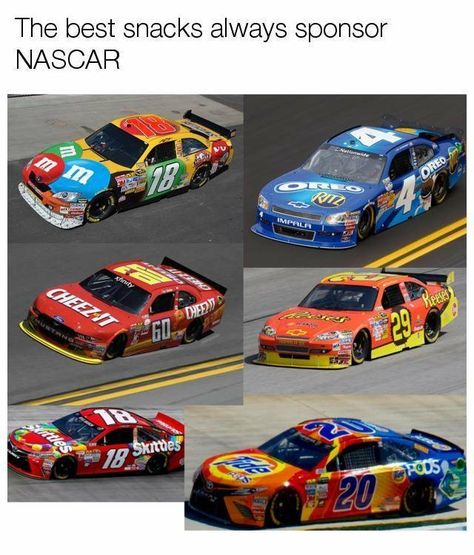 𝘍𝘰𝘭𝘭𝘰𝘸 𝘮𝘺 𝘗𝘪𝘯𝘵𝘦𝘳𝘦𝘴𝘵! → 𝘤𝘩𝘦𝘳𝘳𝘺𝘩𝘢𝘪𝘳𝘦𝘥 Nascar Memes, Fun Snacks, Funny Pins, Tumblr Funny, Bones Funny, Best Memes, Popular Memes, Funny Posts, Dankest Memes