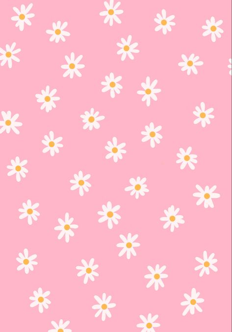 Apple Watch Wallpaper Aesthetic Pink, Pink Daisy Background, Pink Daisy Wallpaper, Daisy Background, Wallpaper Homescreen, Daisy Wallpaper, Simple Iphone Wallpaper, Iphone Wallpaper Images, Iphone Homescreen Wallpaper