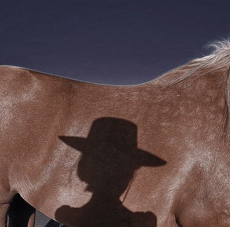 Foto Cowgirl, Cowboy Aesthetic, Cowgirl Aesthetic, Western Aesthetic, Baby Cowboy, I'm With The Band, Horse Photography, Horse Girl, Wild Hearts