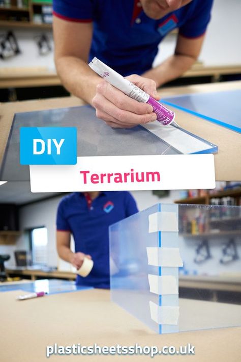 Acrylic Sheet Diy Projects, Making A Terrarium, Plexiglass Ideas, Plastic Terrarium, Stick Insects, Aquarium Diy, Frog Terrarium, Acrylic Aquarium, Plexiglass Sheets