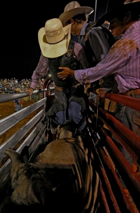 Country Boy Aesthetic, Pbr Bull Riders, Pbr Bull Riding, Foto Cowgirl, Chestnut Springs, Elsie Silver, Bucking Bulls, Bronc Riding, Professional Bull Riders