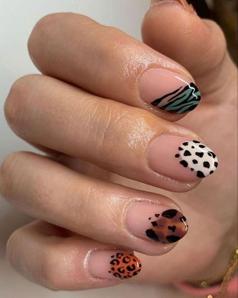 Styling Your Fingertips: The Ultimate Guide to Round Nail Designs for 2024 Jungle Nails, Round Nail Designs, Maquillage Yeux Cut Crease, Eye Nails, Nails Now, Minimal Nails, Casual Nails, Animal Nails, Short Acrylic