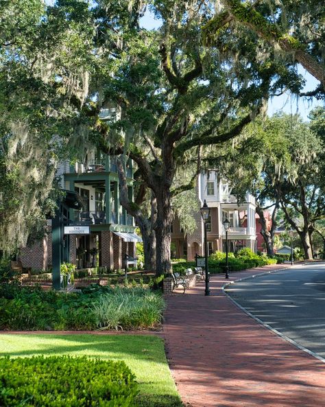 Montage Palmetto Bluff, Bluffton South Carolina, Commercial And Office Architecture, Canoe Club, Palmetto Bluff, Equestrian Facilities, Architectural Design House Plans, White Picket Fence, Apartment Architecture