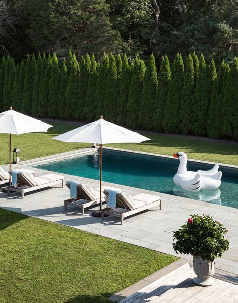 Bella Mancini Design Trees Behind Pool, Adding Hot Tub To Existing Pool, Rectangle Pool Landscaping Backyard, Landscape Ideas Around Pool, Modern Rectangle Pool, Landscape Entryway, Hamptons Landscaping, Pool With Slide, Outdoor Pool Decor