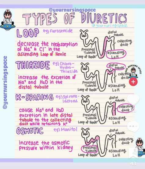 Glucose Regulation Nursing, Cardiac Step Down Unit, Numonics For Nursing, Pharmacology Respiratory Meds, Antianginal Pharmacology, Naplex Study Guide, Vtne Study Notes, Cardiac Meds Cheat Sheets, Pharmacology Nursing Study Cheat Sheets