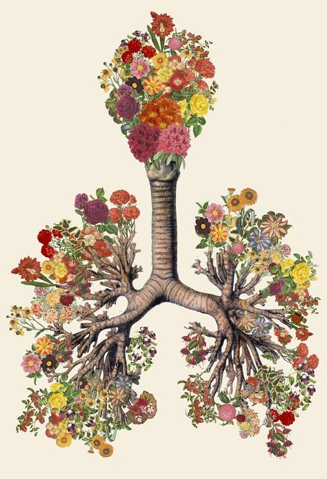 Surreal Anatomical Collage Art Made from Vintage Scientific Illustrations by Travis Bedel. Travis Bedel, Kunst Collages, Medical Art, Scientific Illustration, Abdominal Pain, Anatomy Art, Fantasy Illustration, Lungs, Pain Relief