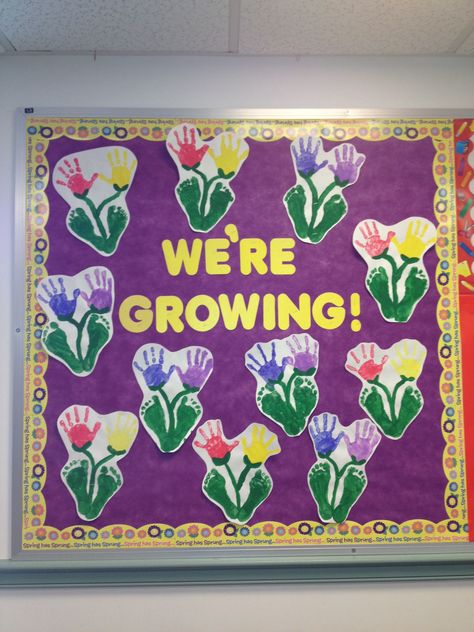 Growing Bulletin Board, Infant Bulletin Board, Daycare Bulletin Boards, Toddler Bulletin Boards, Easter Bulletin Boards, Spring Bulletin, Infant Classroom, Spring Bulletin Boards, Spring Classroom