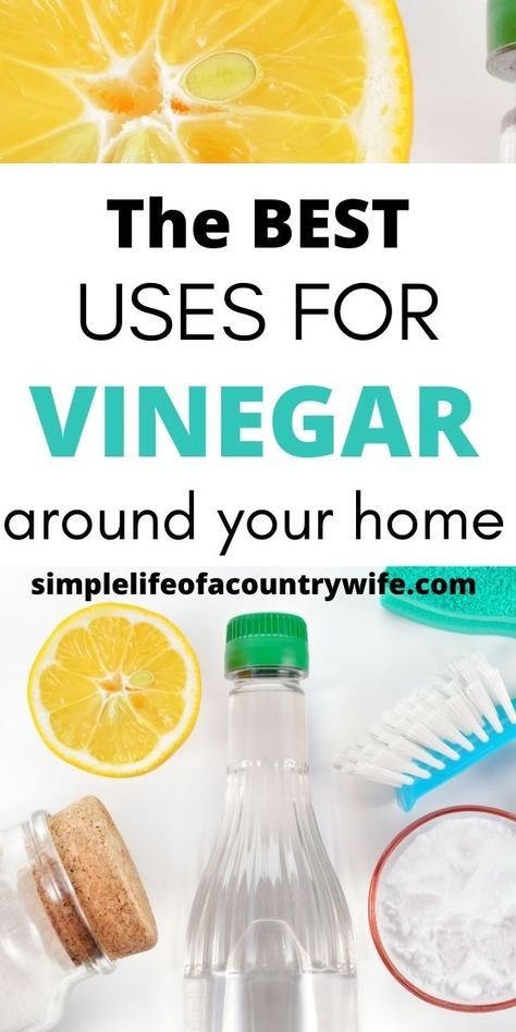 uses for white vinegar White Vinegar Cleaning Spray, White Vinegar Uses, Vinegar Cleaning Hacks, Uses For White Vinegar, Spider Repellent, Cleaning Vinegar, Uses For Vinegar, Overcome Laziness, White Vinegar Cleaning