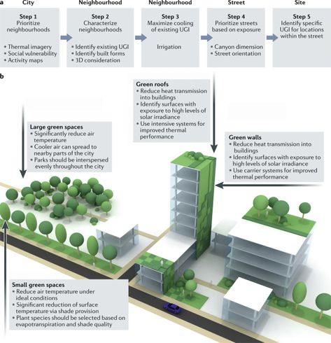 Greenery as a mitigation and adaptation strategy to urban heat | Nature Reviews Earth & Environment Green Urban Aesthetic, Green Infrastructure Design, Sustainability Infographic, Tree Infographic, Mitigation Strategies, Plant Placement, Extensive Green Roof, Interior Design Competition, Green Roof Building