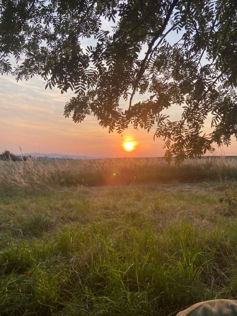 Nature with lots of grass, a sunset, trees, childhood vibes, happy life, nostalgic vibes German Countryside, Village Aesthetic, Countryside Photos, Flowers Sunset, Childhood Aesthetic, European Summer Aesthetic, Nostalgic Aesthetic, Nostalgic Pictures, German Village