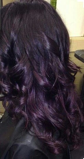 Dark Purple Hair Almost Black, Dyed Hair Natural Colors Brunettes, Plum Purple Hair, Purple Black Hair, Hair Color Plum, Dark Purple Hair, Plum Hair, Dyed Hair Purple, Hair Color Underneath