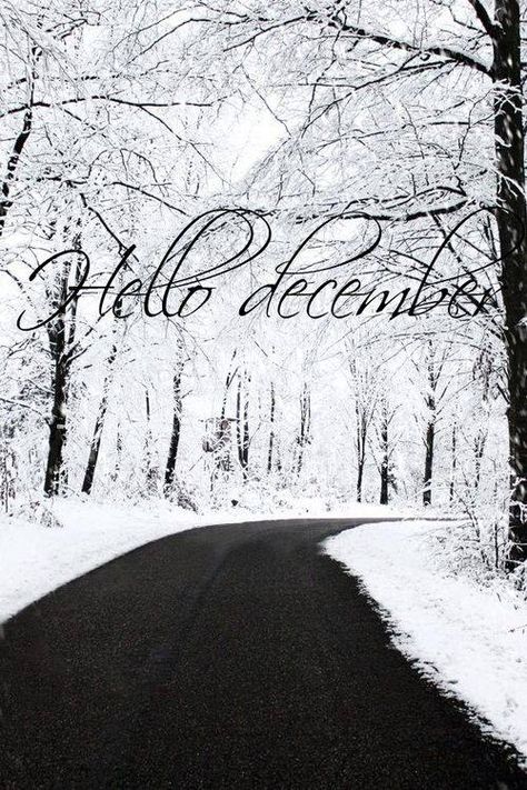 Winter Seasonal Backgrounds, Welcome December, Woodland Winter, Holidays Ideas, Hello December, Days And Months, Winter's Tale, Winter Love, Winter Beauty