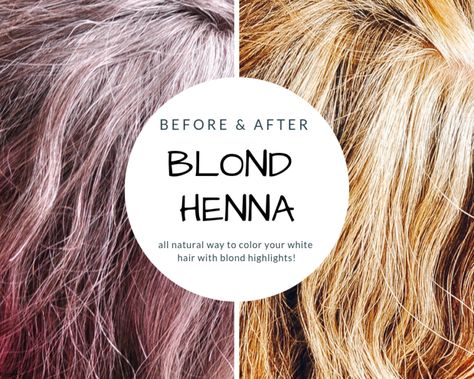 Blonde Henna Hair Recipe To Cover Grays | Organic Beauty Recipes Blonde Henna, Henna Recipe, Lighten Hair Naturally, Henna Hair Color, Henna Color, Covering Gray Hair, Dyed Blonde Hair, Henna Hair, Natural Henna