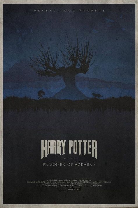 Gary Oldman Harry Potter, Poster Harry Potter, Harry Potter Poster, The Prisoner, The Prisoner Of Azkaban, Prisoner Of Azkaban, I Love Cinema, Movie Poster Wall, Harry Potter Film