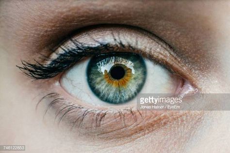 World's Best Human Eye Stock Pictures, Photos, and Images - Getty Images Migraine Aura, Extreme Close Up, Health Video, Vision Problems, Eye Photography, Human Eye, Makeup For Green Eyes, Eye Health, Women's Health