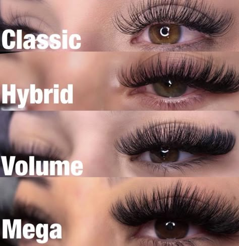 Natural Fake Eyelashes, Lashes Fake Eyelashes, Russian Volume Lashes, Eyelash Tips, Eyelash Technician, Cat Eye Lash, Eyelash Extensions Styles, Lash Extensions Styles, Volume Lash Extensions