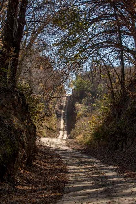 Iowa Road Trip - Sophies Hollow in Monona County, Iowa... Loess Hills Iowa, Iowa Aesthetic, Iowa Road Trip, Iowa Travel, Iowa City, City Aesthetic, Magical Places, Iowa, Travel Usa