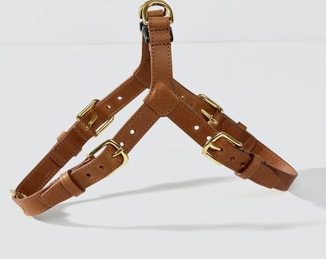 Leather Harness for Small Dog/cat. Chihuahua Yorkshire Etc. - Etsy Leather Keychain Pattern, Leather Dog Harness, Small Sized Dogs, Keychain Pattern, Small Dog Harness, Pet Harness, Leather Harness, Leather Projects, Dog Pattern