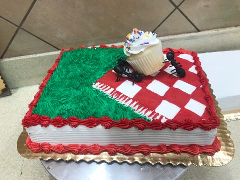 Bbq Birthday Cake, Blanket Cake, Dq Cakes, Picnic Parties, Bbq Birthday, Picnic Cake, Cakes Decor, Sugar Free Baking, Birthday Bbq