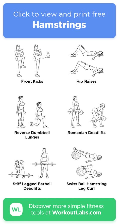 Hamstrings – click to view and print this illustrated exercise plan created with #WorkoutLabsFit Leg Workout Hamstring, Hamstring Exercises At The Gym, Beginner Hamstring Exercises, Quads And Hamstrings Workout At Home, Hamstring Workout No Equipment, Hamstring Workout At Home, Hamstring Workouts, Hamstrings Workout, Best Hamstring Exercises