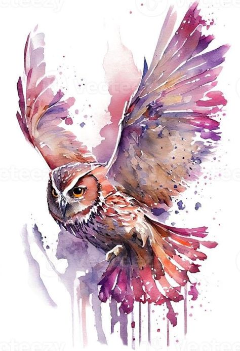 Abstract Watercolor Animals, Owl Drawing Color, Owl Watercolor Paintings, Flying Owl Tattoo, Watercolor Animal Paintings, Abstract Owl Painting, Flying Bird Art, Paint Owl, Draw Bird