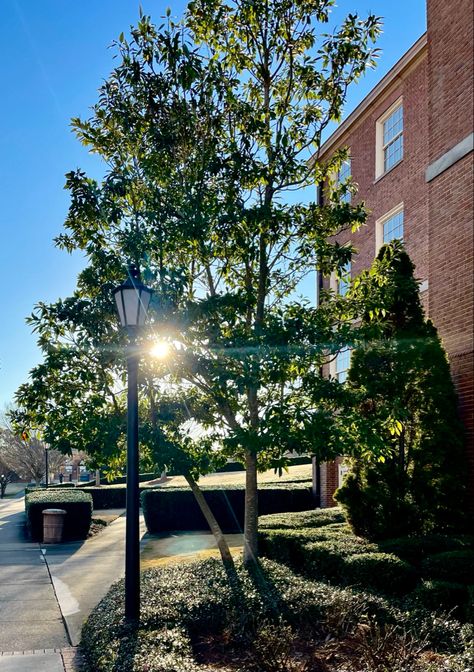 Noon Time Of Day Aesthetic, Noon Time Of Day, Midday Aesthetic, Living Deliciously, Samford University, Freshman Year, I Think Of You, Scenery Wallpaper, Pretty Pictures