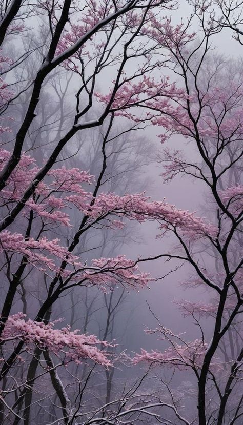 Pretty Landscapes, Japan Aesthetic, Montage Photo, Iphone Wallpaper Photos, Tree Wallpaper, Pretty Wallpapers Backgrounds, Cute Wallpaper Backgrounds, Nature Aesthetic, Scenery Wallpaper