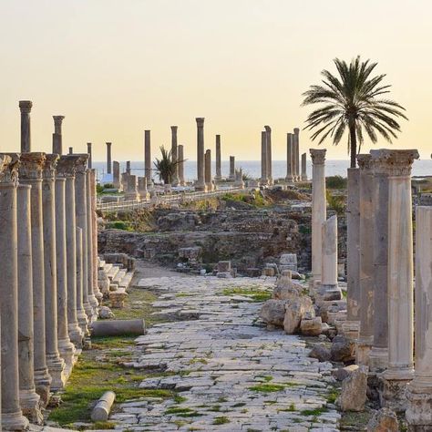 Lebanon Tyre standing tall throughout the years. Photo by George Esper Lebanese Traditions, Tyre Lebanon, South Lebanon, Beirut, Stand Tall, Engagement Photoshoot, Lebanon, The Land, New York Skyline