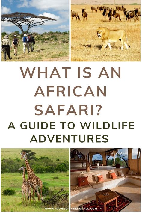 what is an african safari Herd Of Elephants, Zambezi River, Africa Trip, The Big Five, The Great Migration, Luxury Safari, Safari Lodge, Safari Adventure, Wildlife Safari