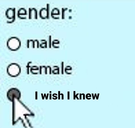 Gender Was Never An Option, Gender Crisis Aesthetic, Nonbinary Dysphoria Art, Gender Fluid Quotes, No Gender Only Swag, Nonbinary Humor, Gender Identity Crisis, Genderqueer Aesthetic, Agender Aesthetic