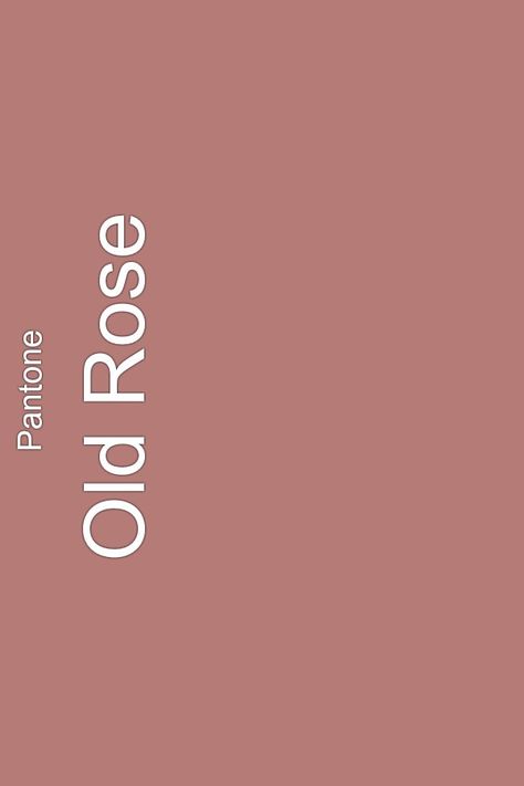 Pantone Old Rose Terra Rosa Color, Rose Colored Walls, Old Rose Color Aesthetic, Old Rose Color Palette, Rose Pink Wall, Rose Paint Color, Pink Color Background, Old Rose Color, Living Room Wall Color