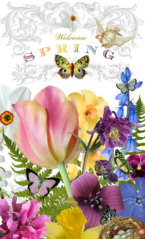 Spring is my favorite season. I hate the heat & don't like real cold either, & the flowers are so lovely then. Vernal Equinox, Spring Forward, Spring Equinox, Spring Fever, Spring Beauty, Easter Time, Welcome Spring, Spring Sign, Happy Spring