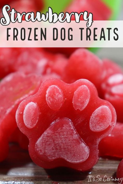 Strawberry Treats For Dogs, Chicken Broth Dog Treats Frozen, Strawberry Dog Treats Recipes, How To Package Dog Treats For Sale, Home Made Dog Food For Senior Dogs, Summer Dog Treats Frozen, Frozen Puppy Treats, Strawberry Dog Treats, Homemade Frozen Dog Treats