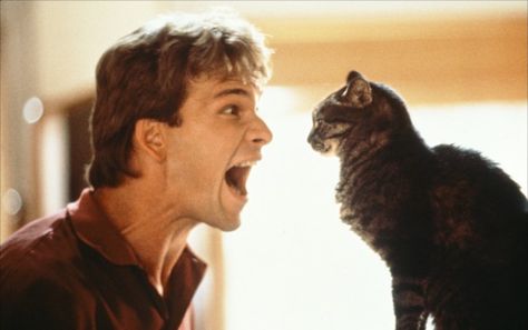 ghost-1990-03-g Ghost Patrick Swayze, Patrick Swazey, Patrick Swayze Dirty Dancing, Ghost Movie, 1990s Films, Julia Ormond, Men With Cats, Ghost Movies, Film Journal