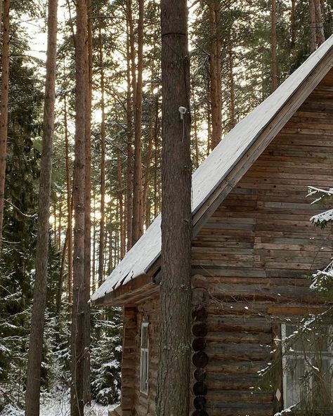 Winter Cabin Aesthetic, Rain And Coffee, Cozy Winter Cabin, Cabin Aesthetic, Seeing Red, Winter Cabin, Winter Love, Cabin In The Woods, Winter Wonder