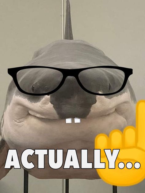 creds to whoever made the shark a nerd i js added words