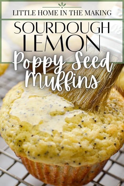 Sourdough Discard Lemon Scones, Sourdough Muffin, Sourdough Lemon, Almond Poppyseed Muffins, Sourdough Discard Recipe, Lemon Poppy Seed Muffins Recipe, Lemon Muffin Recipes, Sourdough Muffins, Lemon Poppy Seed Muffins