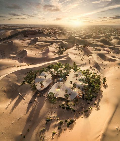 Desert Resort, Desert Design, Desert Oasis, Urban Fabric, Hospitality Design, Desert Landscaping, Hotel Design, Concept Architecture, Architect Design