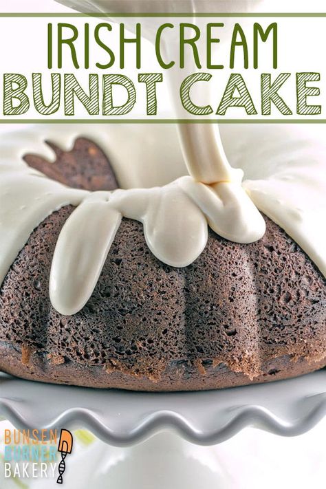 Chocolate Irish Cream Bundt Cake, St Patrick’s Day Bundt Cake, Irish Cream Bundt Cake, One Bowl Cake, Boozy Cakes, Easy Bundt Cake, Bunsen Burner, Dessert Board, Chocolate Bundt