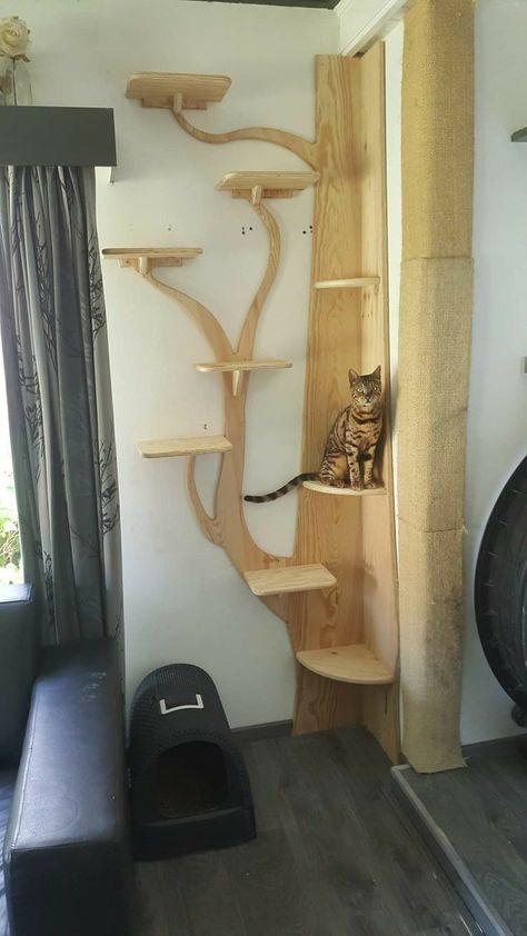 Cat Runner Wheel Diy, Corner Cat Tree, Cat Wall Tree, Diy Cat Wall Ideas, Katt Diy, Cat Climbing Wall, Katt Grejer, Cat Wall Shelves, Cat Tree House